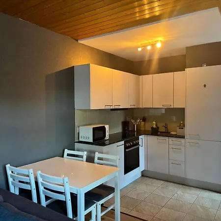 Apartment Between Lakes Beatenberg